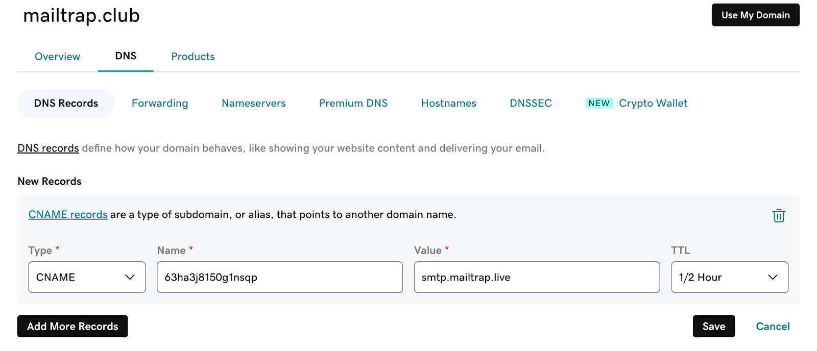 GoDaddy DNS new record form with CNAME type, name, and value fields