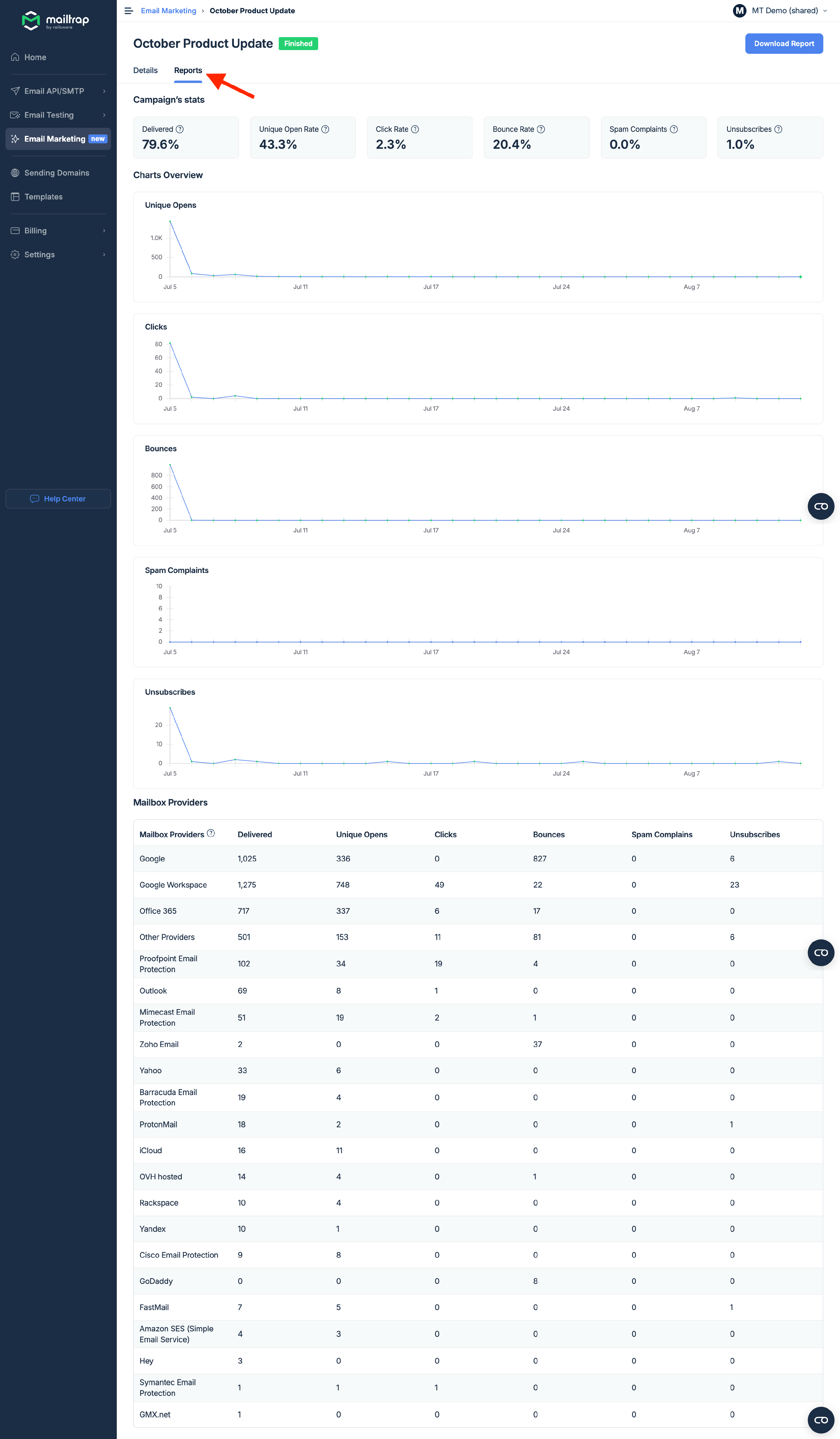 Campaign statistics report showing delivery rates, opens, clicks, and mailbox provider breakdown