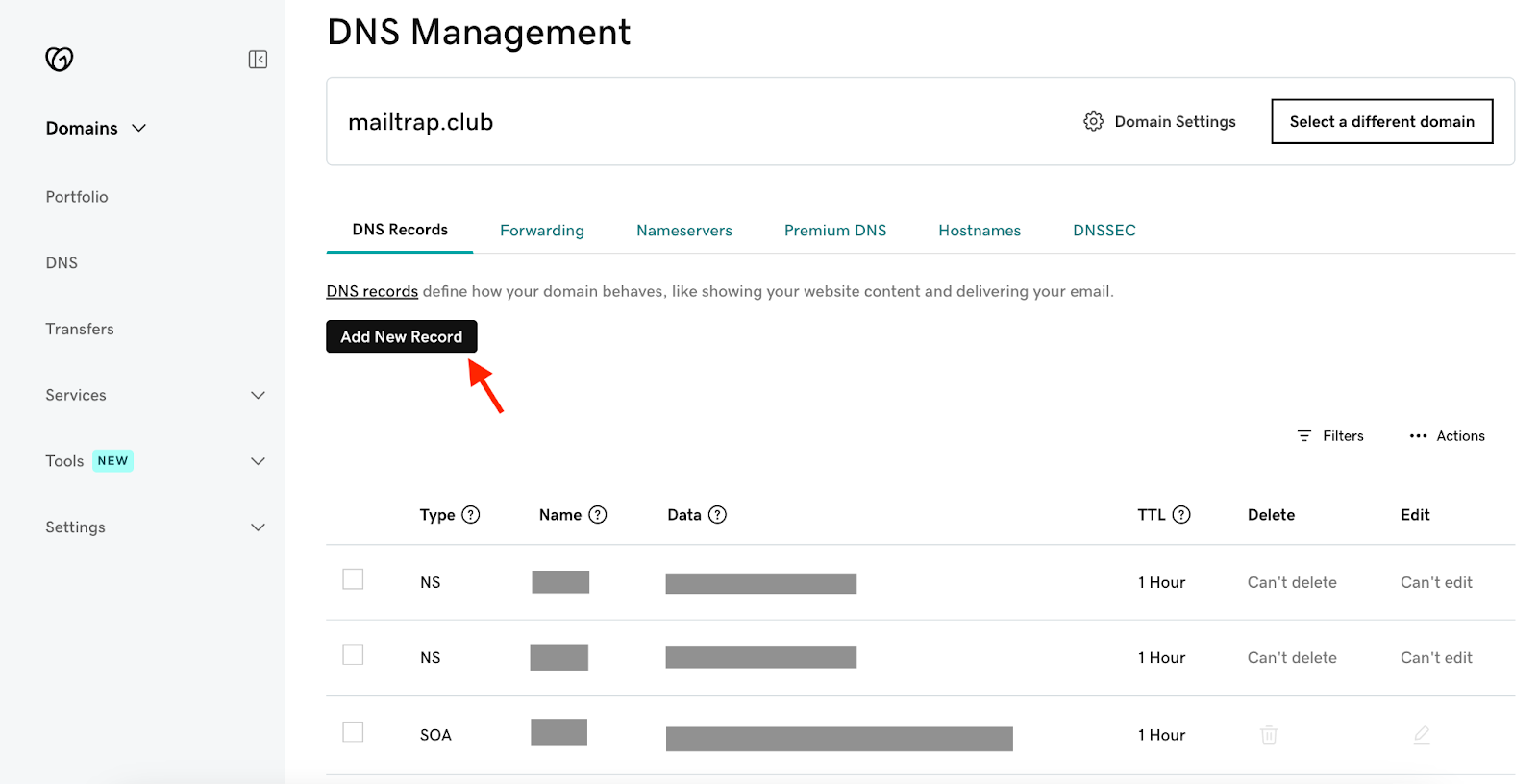 GoDaddy DNS Management with Add New Record button